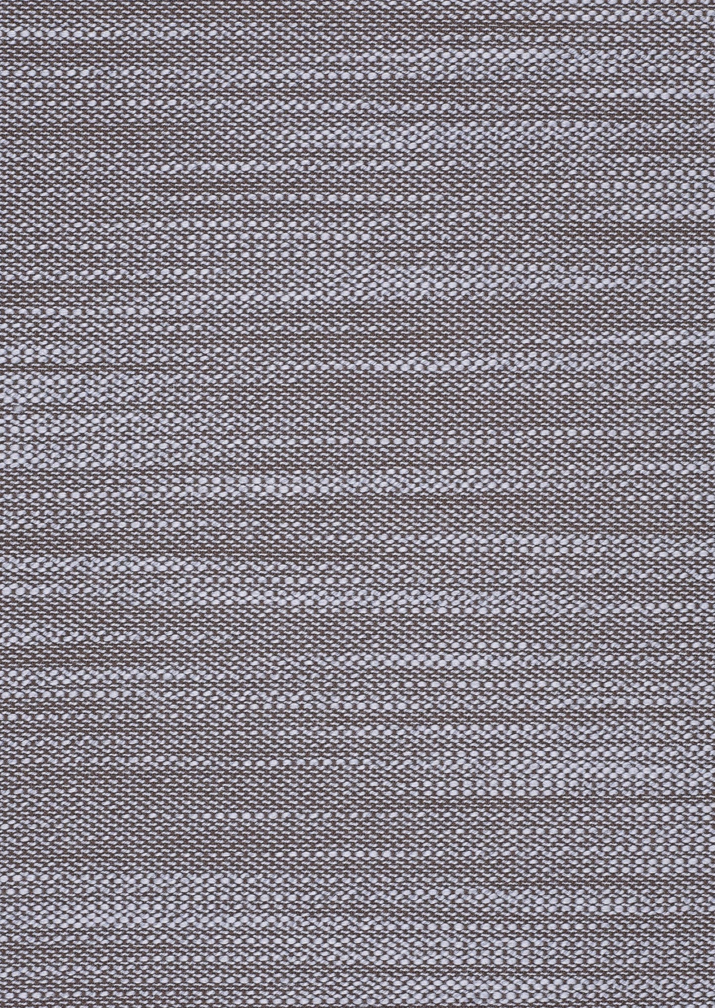 Kvadrat Lila