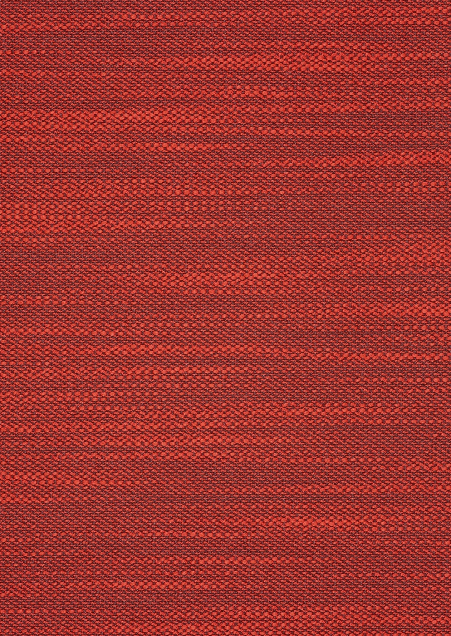 Kvadrat Lila