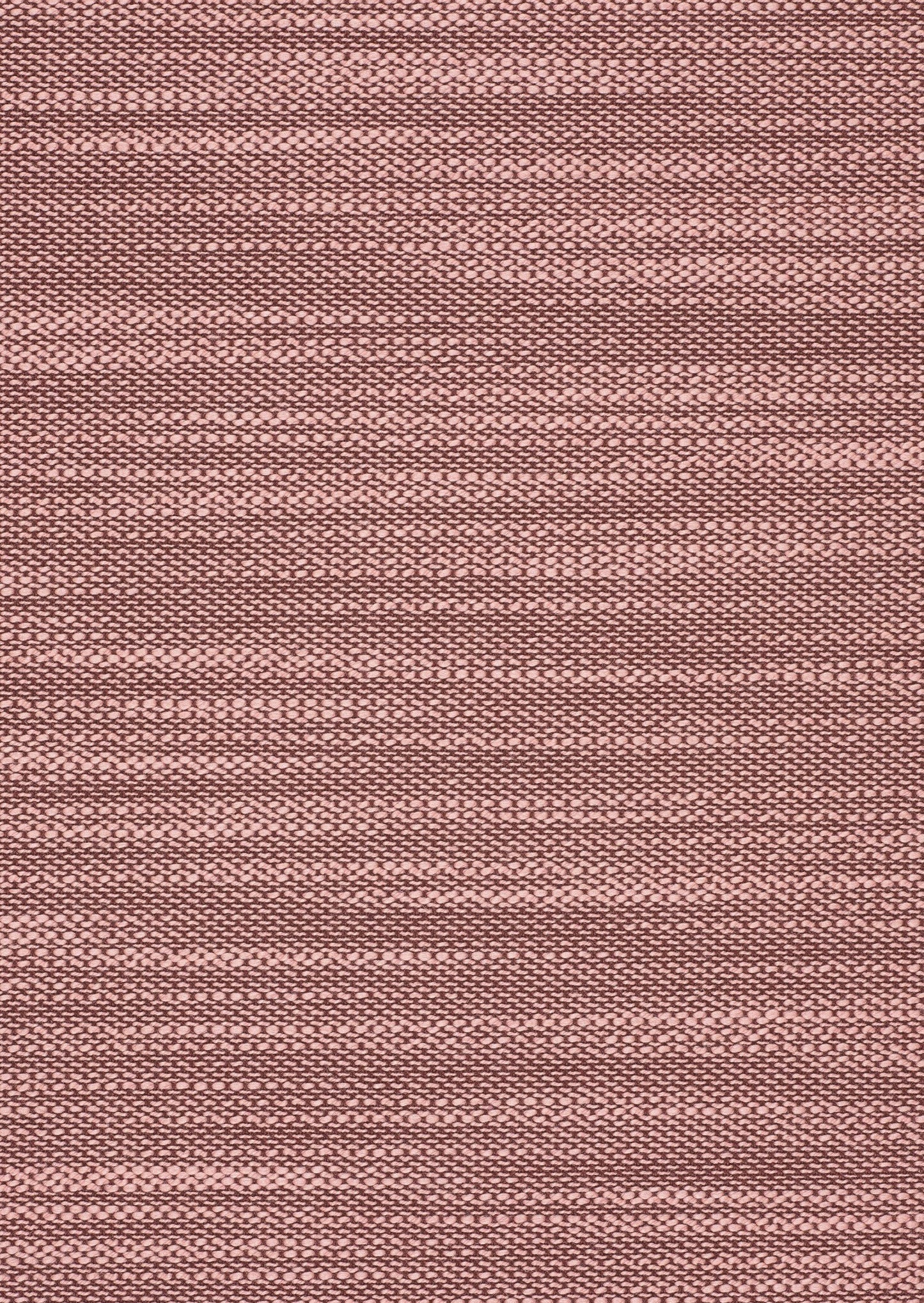 Kvadrat Lila